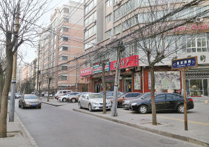 莲湖印象老照片,莲湖印象是什么区