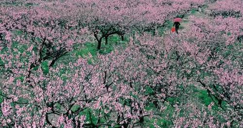 各种摄影题材大全,摄影哪种题材容易震撼人心