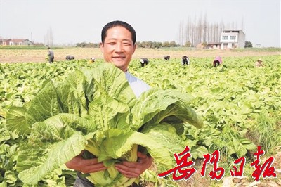 华容这5年：“三量齐升”向小康飞奔