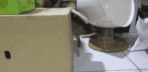 囧吐槽：社会我哈哥，狗怂话还多