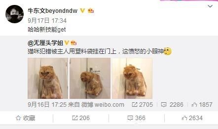 毁童年之“快乐星球”男主角竟然出轨又家暴！还好只爱看第一部！