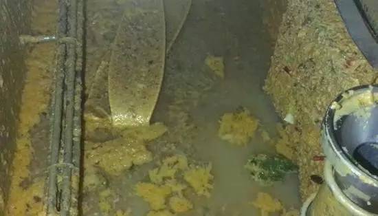 合肥最火的海底捞店,合肥海底捞推荐哪家门店