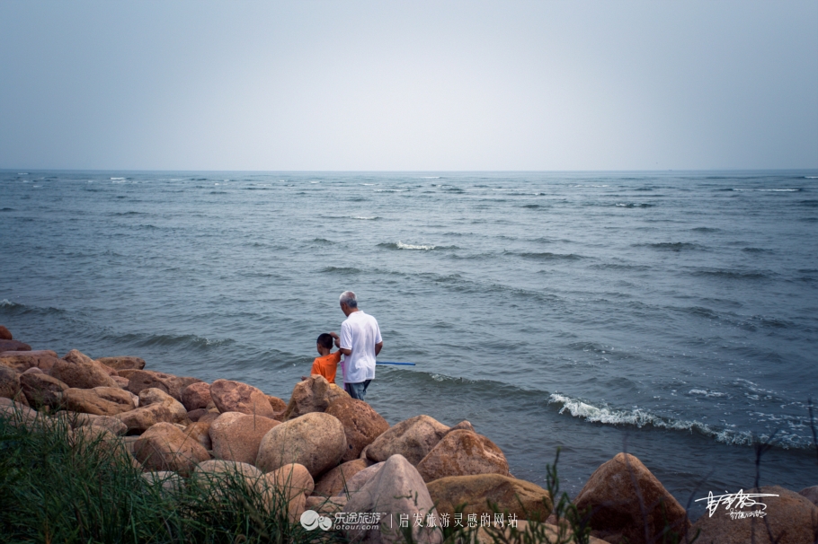 湿地观鸟自然体验,观鸟是一种宁静的心境