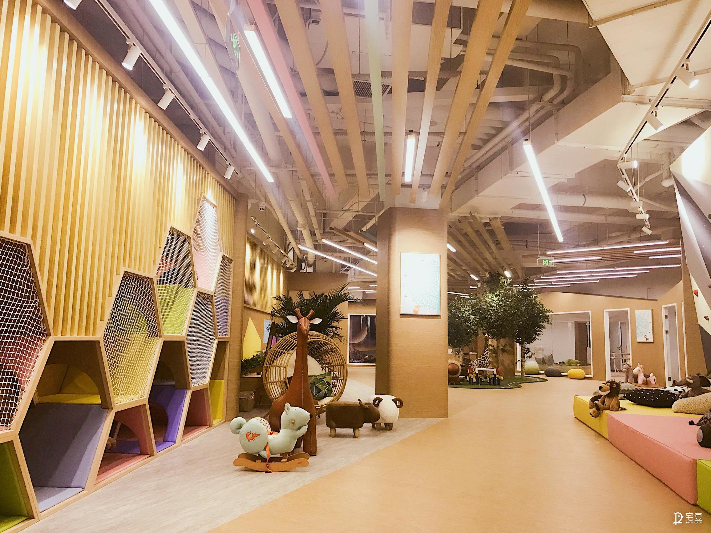 原始森林？动物园？银河系？托儿中心大改造