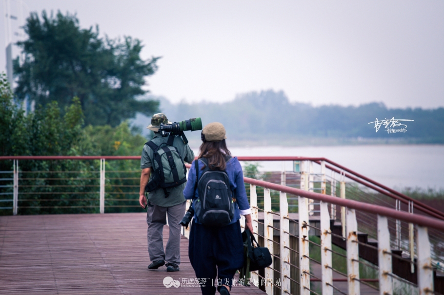 湿地观鸟自然体验,观鸟是一种宁静的心境