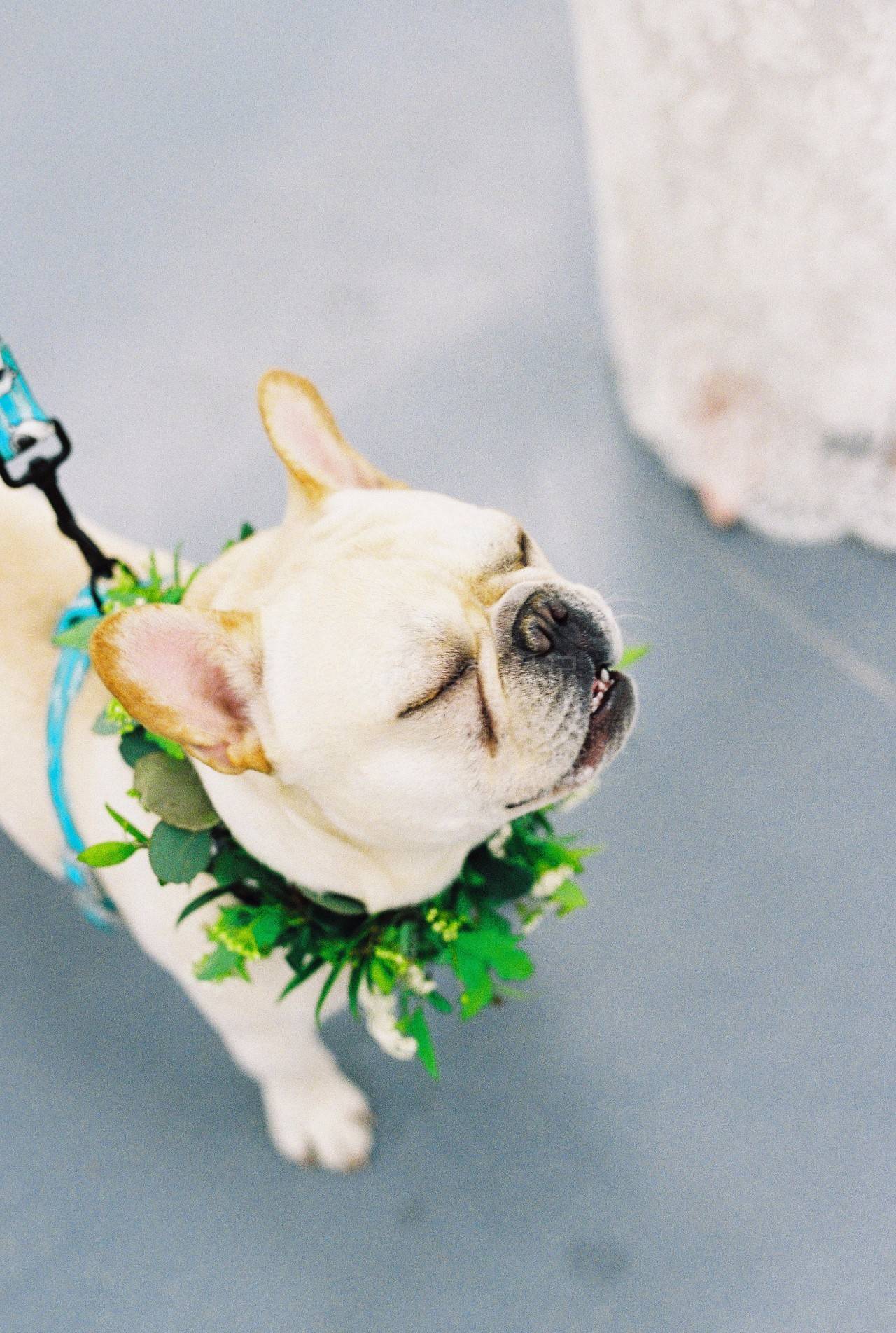 婚礼上最实用的建议,过来人的33条婚礼建议一定要看