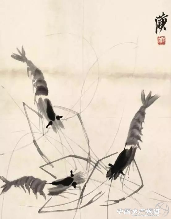 虾类有几千种，你又认识几种？