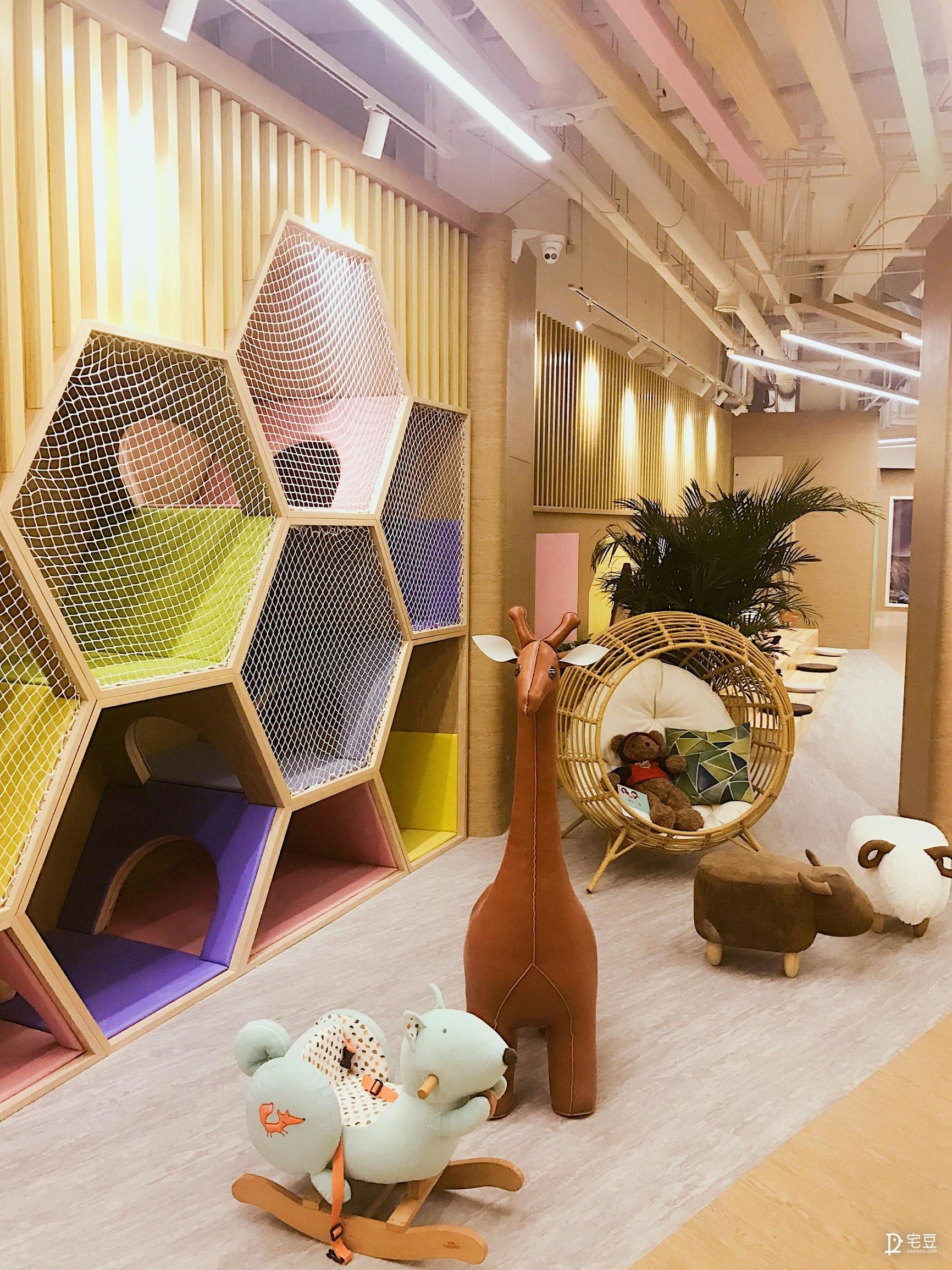 原始森林？动物园？银河系？托儿中心大改造