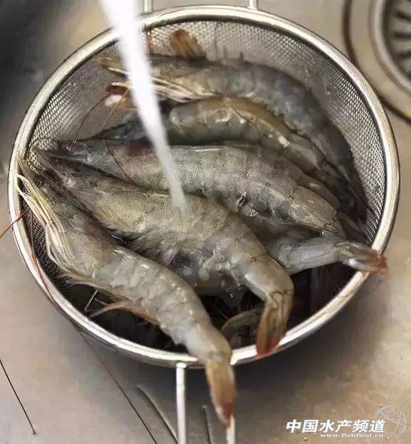 虾类有几千种，你又认识几种？