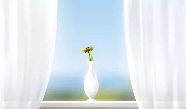 窗帘免拆清洗技巧与注意事项,窗帘免拆清洗技巧及教程