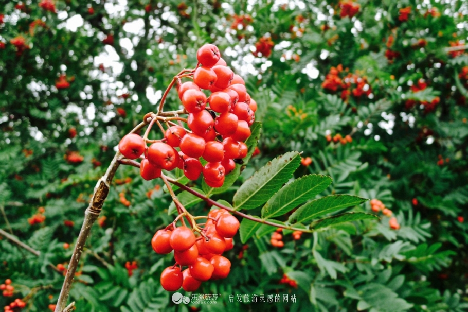 天空岛四个岩柱,天空岛秘境解密