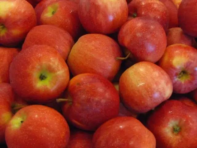 小苏打和洗发水一起用,洗发水加小苏打反应