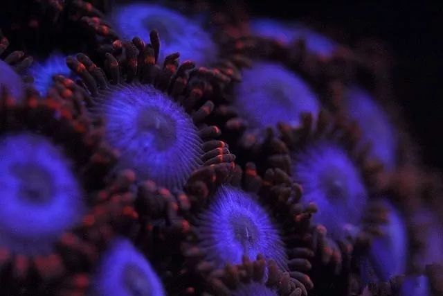 水管工人的美缸，美出新高度！