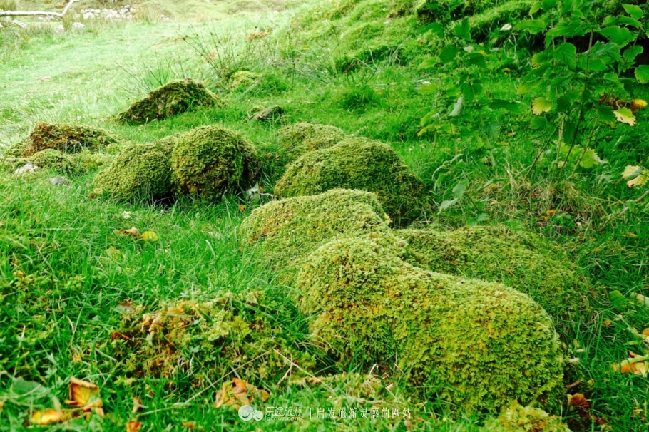 天空岛四个岩柱,天空岛秘境解密