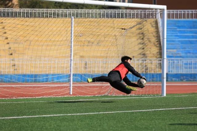 法国大学vs德国大学,东北大学vs哈工大