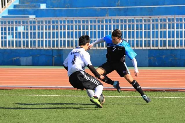 法国大学vs德国大学,东北大学vs哈工大