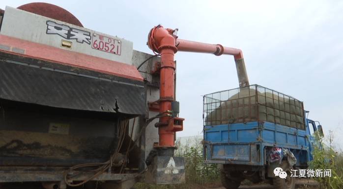 江夏新闻2017年8月,江夏新闻要闻回忆
