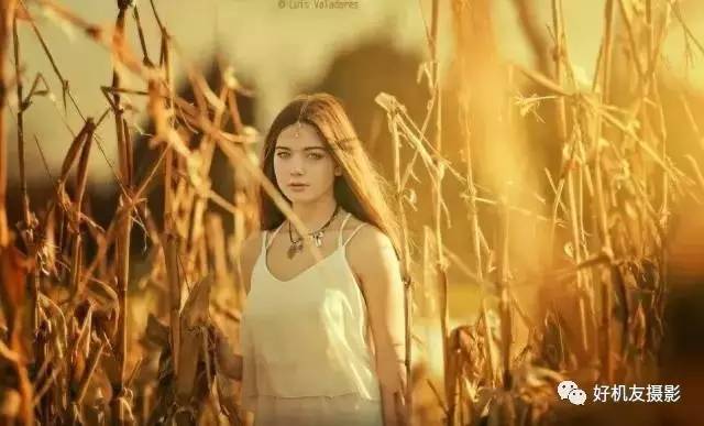 绉嬪ぉ灏嗚鏉ヤ复,绉嬪ぉ鍗冲皢鏉ヤ复