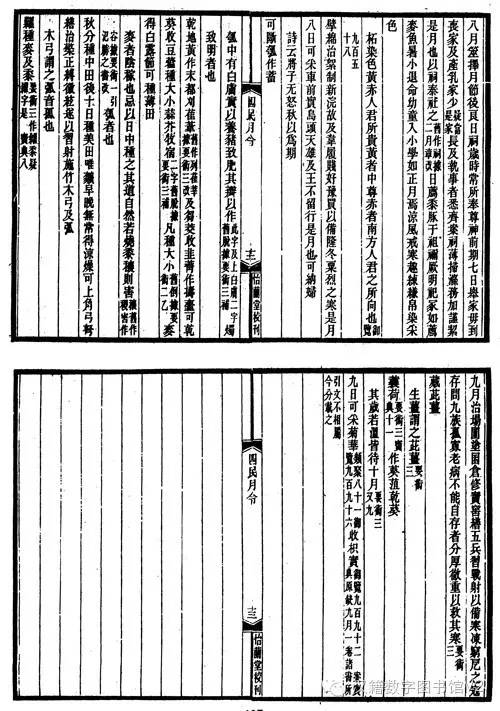 二十四节气国画之秋分,二十四节气秋分小作文