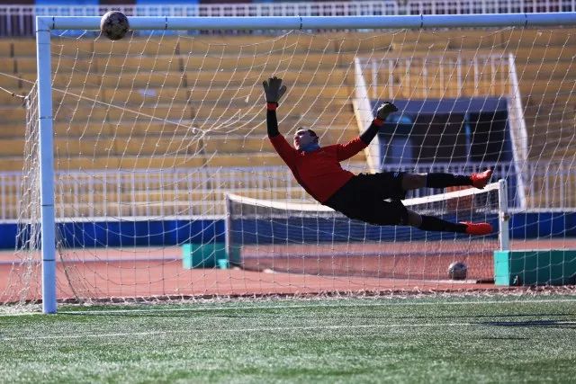 法国大学vs德国大学,东北大学vs哈工大