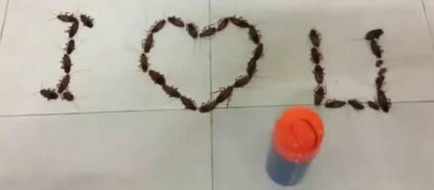 「新闻快车」驻马店成为全国首家“码”上乘车全覆盖城市！