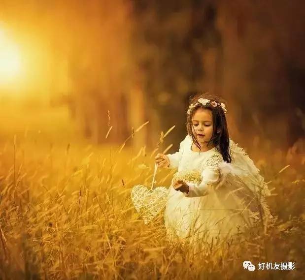 绉嬪ぉ灏嗚鏉ヤ复,绉嬪ぉ鍗冲皢鏉ヤ复