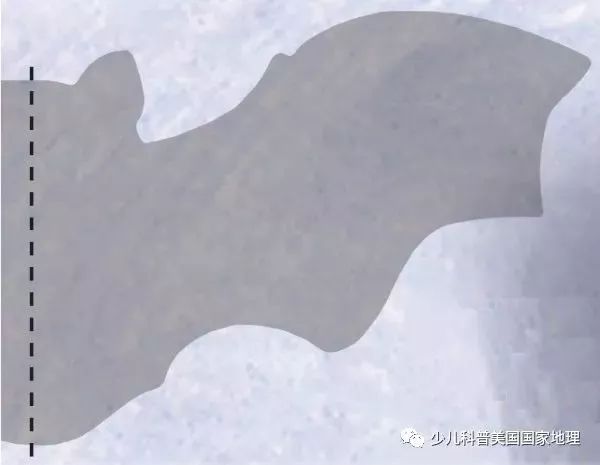 万圣节手工的小饰品,万圣节小饰品制作方法