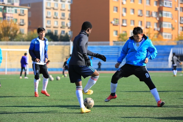 法国大学vs德国大学,东北大学vs哈工大