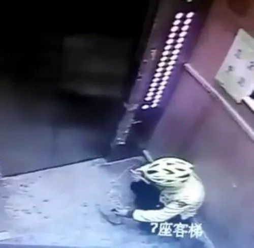 「新闻快车」驻马店成为全国首家“码”上乘车全覆盖城市！