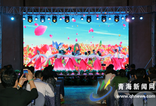 唐古特白刺果什么作用,唐古特白刺多糖磷酸化