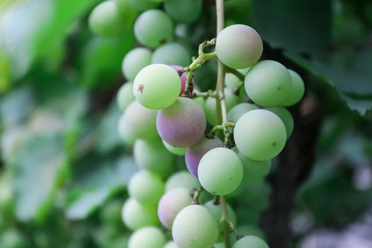 李桥北京,李桥时代艺术区