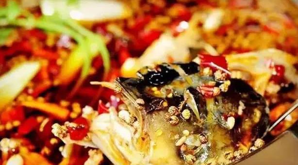 九鼎美蛙鱼头火锅广安平安大道,广安美蛙鱼头免费吃