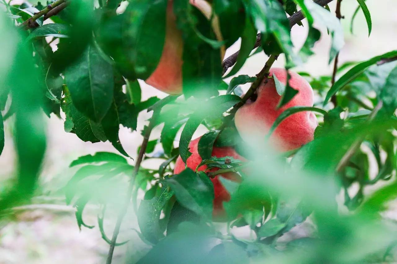 李桥北京,李桥时代艺术区