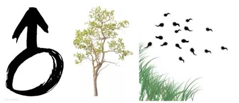 检察版猜字游戏第一弹，等你来挑战！