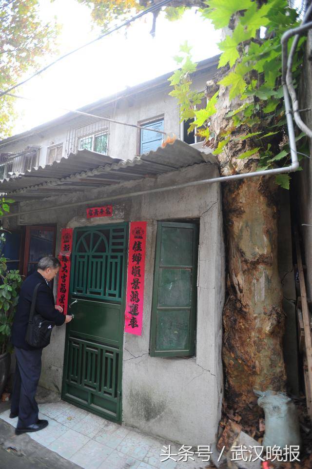 交管网线下能办理业务了吗,交管有哪些业务可以网上办