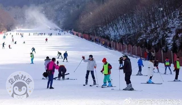 渭南附近滑雪场,渭南周边的滑雪场哪个性价比最高