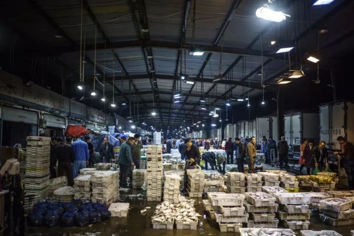 上海去哪里吃实惠而又正宗的海鲜,上海哪里的海鲜又便宜又好吃