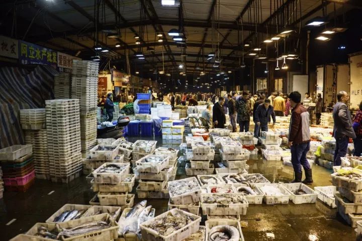 上海去哪里吃实惠而又正宗的海鲜,上海哪里的海鲜又便宜又好吃