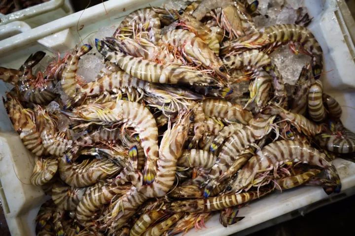 上海去哪里吃实惠而又正宗的海鲜,上海哪里的海鲜又便宜又好吃