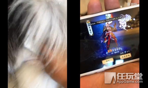 三段玄学教你花式抽SSR《阴阳师》非洲人转欧不再是梦