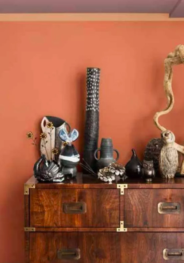 浅棕的最佳搭配颜色,暖木棕色系