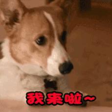 滁州最牛小镇,牛镇新变化