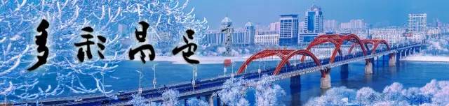 2017年国际足联追梦女孩足球节,追梦女孩足球赛举办方案