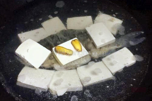 鱼炖豆腐的最正宗视频,鱼炖豆腐汤怎么做