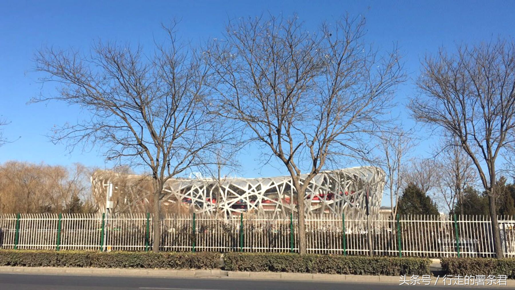 鸟巢体育馆上的鸟窝多高,北京鸟窝属于什么鸟巢