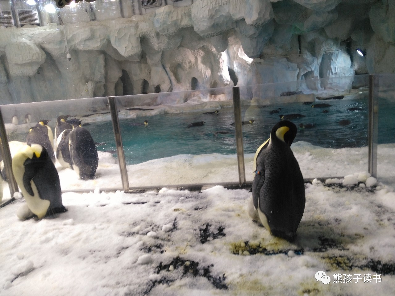 最近珠海长隆海洋王国一日游攻略,自驾游珠海长隆海洋王国一天游