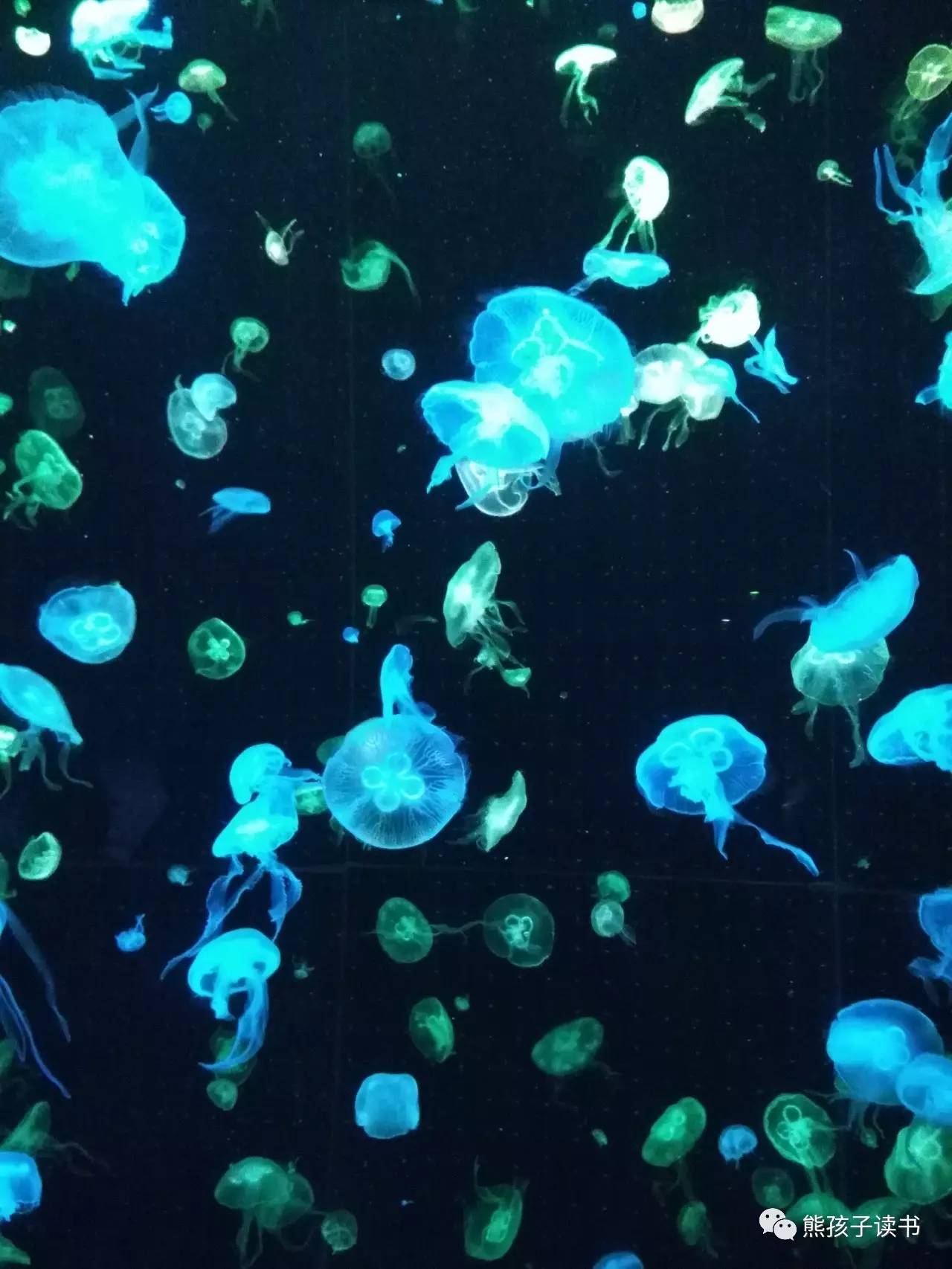 最近珠海长隆海洋王国一日游攻略,自驾游珠海长隆海洋王国一天游