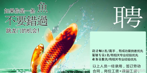 广告法是怎样宣传的,广告宣传法有哪些