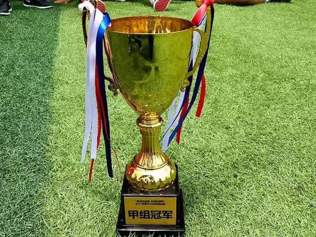 贵州青少年足球锦标赛,2017贵州青少年足球比赛