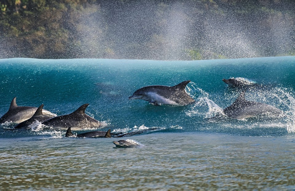 数学不好的人可以看什么书,足球英语零基础